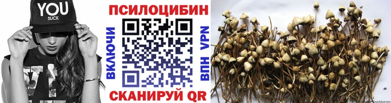 наркотики  Нерехта  KRAKEN ТОР  Галлюциногенные грибы Psilocybe 